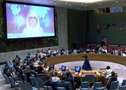 Драгана Трифкович в Совбезе ООН: Западное оружие в Украине убивает мирных жителей независимо от того, говорят ли они по-русски или по-украински